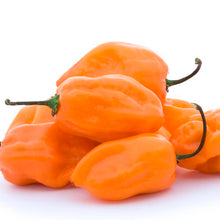 Load image into Gallery viewer, Habanero Infused Honey - 4 oz.