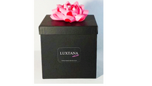 Load image into Gallery viewer, Luxury Bath Gift Box